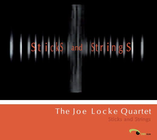 Joe Locke - Sticks and Strings